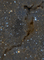 Thumbnail image. Click to load APOD for this date