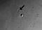 Thumbnail image. Click to load APOD for this date