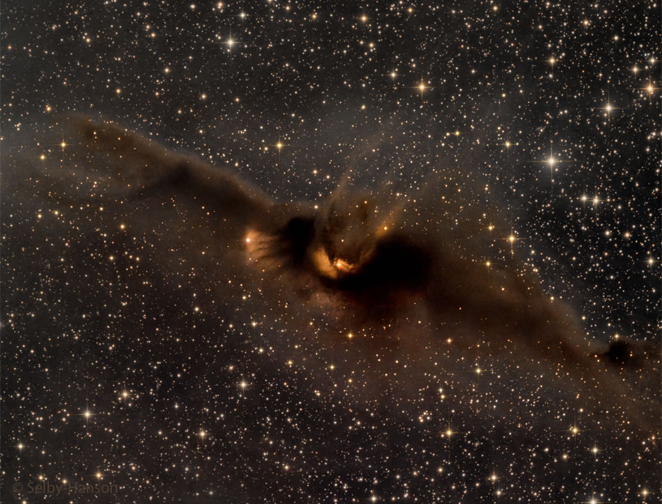 The featured image shows a dark brown molecular cloud
in front of a distant star field. The cloud has the appearance
of a flying bat.
Please see the explanation for more detailed information.